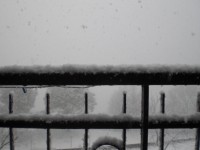 CIMG2888_4_1.JPG