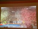 13 - Coppa Italia
